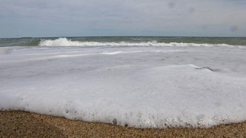 cape cod shark activity closes beach to swimming