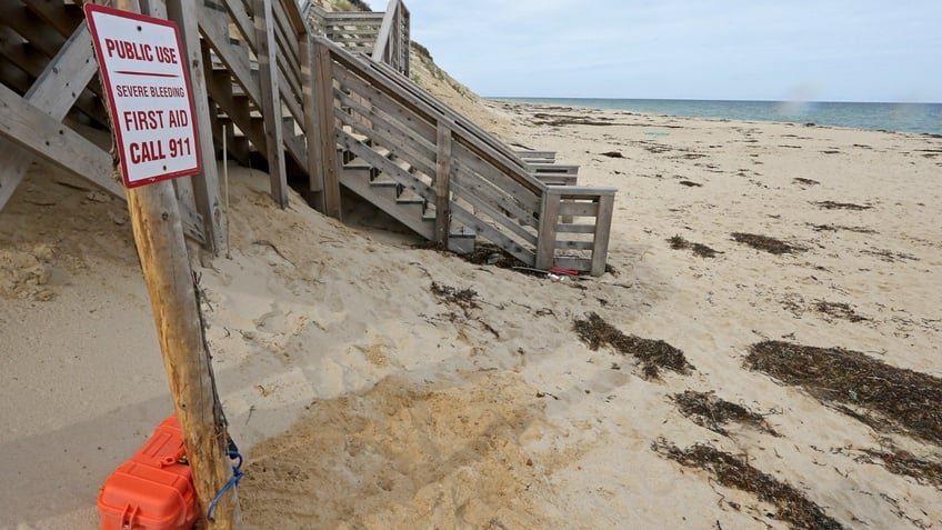 cape cod shark activity closes beach to swimming