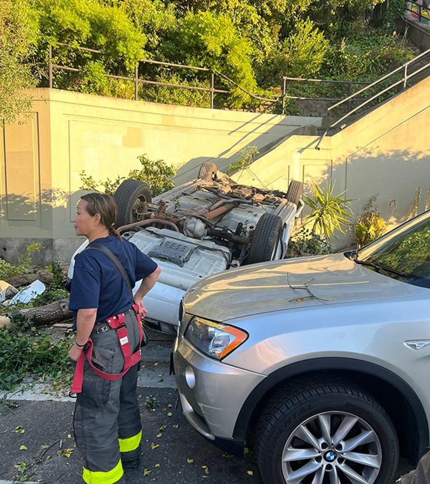 car drives off public stairway in san francisco flips through air onto tree in wild video