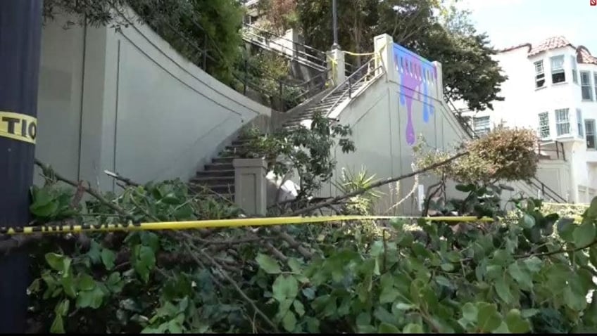 car drives off public stairway in san francisco flips through air onto tree in wild video