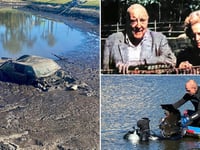 Car tied to wealthy NY couple missing for 44 years pulled from murky pond