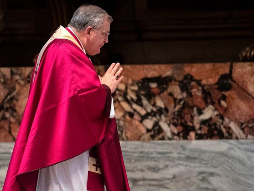 cardinal burke synodality is an attempted revolution in the catholic church