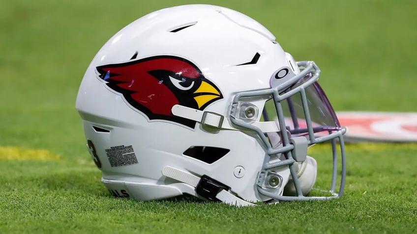 cardinals take jab at elon musk over twitter rebrand we liked the bird better