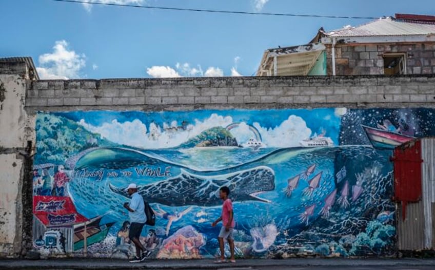 caribbean island of dominica creates worlds first marine protected area for endangered sperm whale