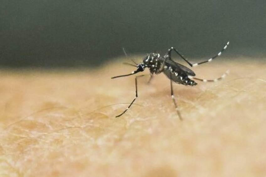 cases of severe tropical disease exploding with no end in sight who