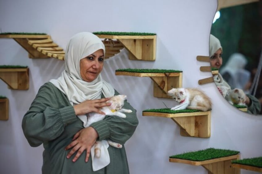 cat cafe brings pawsitivity to war scarred gaza