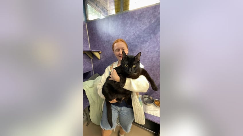 Cat in Texas up for adoption