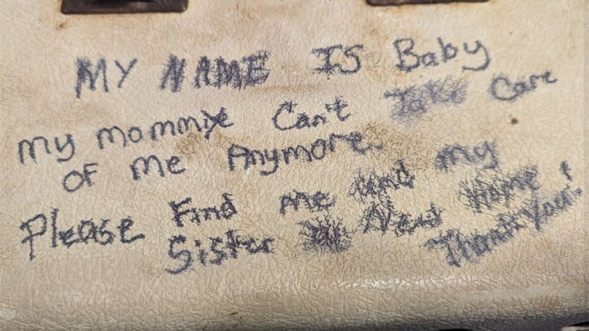 cats left at north carolina shelter with heartbreaking note my mom cant take care of me anymore