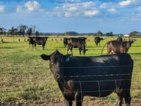 Cattle-Tracking Provision That May Limit Beef Supply Passed In Omnibus Bill