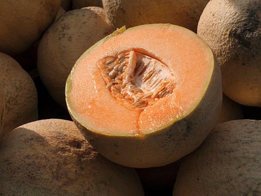 cdc 2 dead 45 hospitalized after salmonella outbreak from recalled cantaloupes