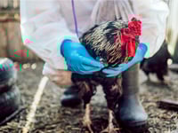 CDC declares bird flu emergency over as experts warn of possible fall resurgence