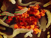 CDC: New COVID Variant Estimated To Be No. 1 Strain In US
