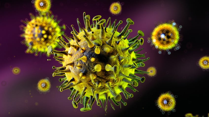 Flu virus