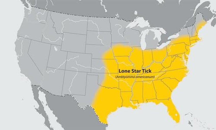 cdc warns red meat allergy caused by ticks an emerging public health concern