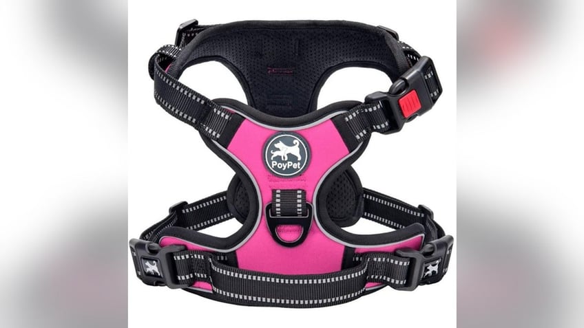 This is a durable, bright harness. 