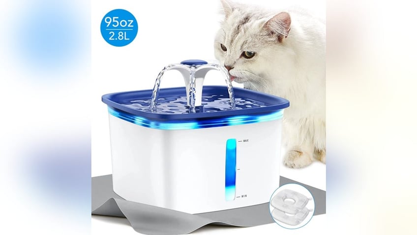 A pet fountain provides a constant stream of fresh water. 