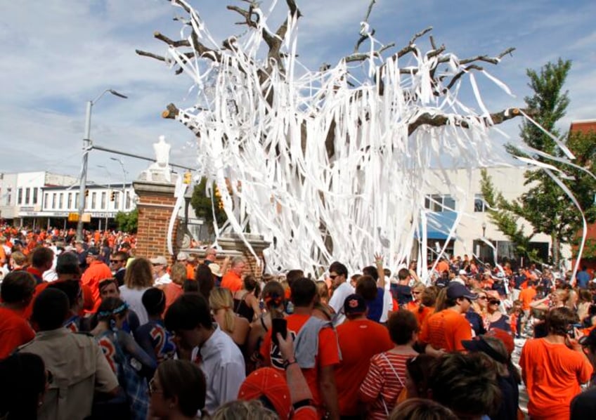 celebrating auburn fans can once again heave toilet paper into toomers oaks