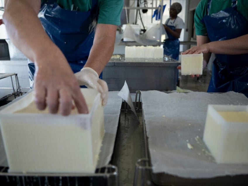 Michael Higgins (L), assistant, and Kat Feete (R), general manger, move quickly while processing a soft cheese at the Meadow Creek Dairy Farm on October 5, 2022, in Galax, Virginia. - With a hundred head of cattle grazing the green slopes of the Appalachian Mountains in the eastern US, Meadow …