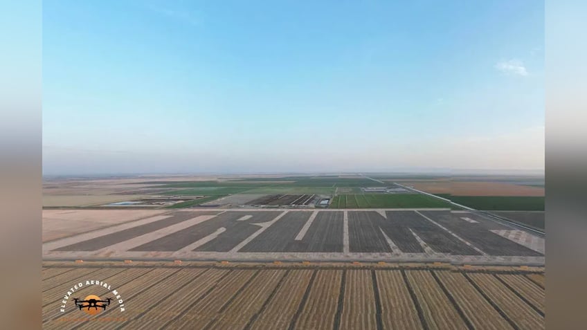 Large mural in field supporting Donald Trump