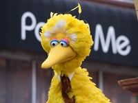 Changes in Federal Funding Forces Sesame Workshop to ‘Downsize Significantly’ amid Layoffs