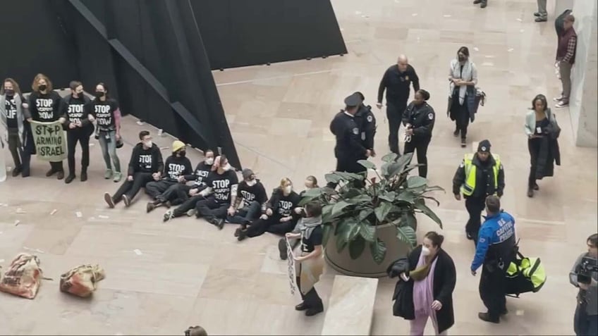 Pro-Palestinian protestors occupy Senate Office Building