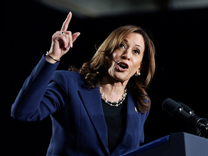 Vice President and Democratic Presidential candidate Kamala Harris speaks at West Allis Ce