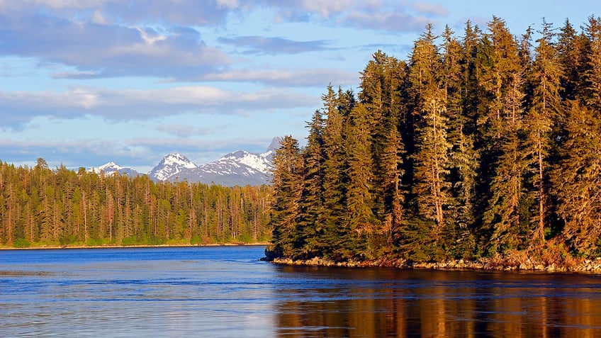 Water, trees in Alaska