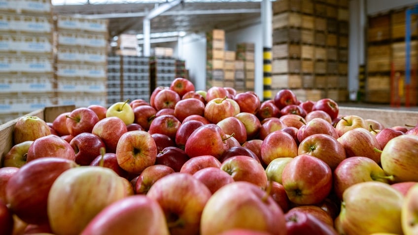 Delicious red apples in a container at a large warehouse.