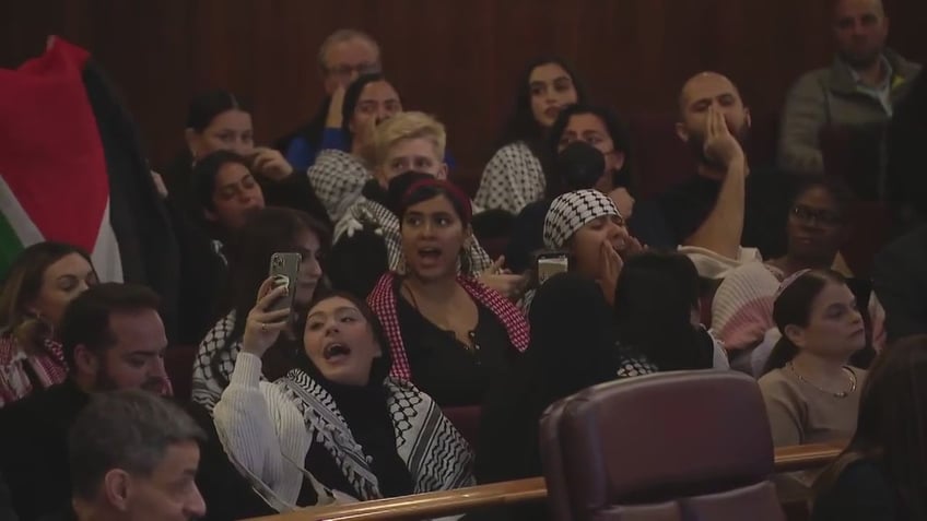 chicago lawmakers pass israel solidarity resolution amid protests from pro palestinian supporters