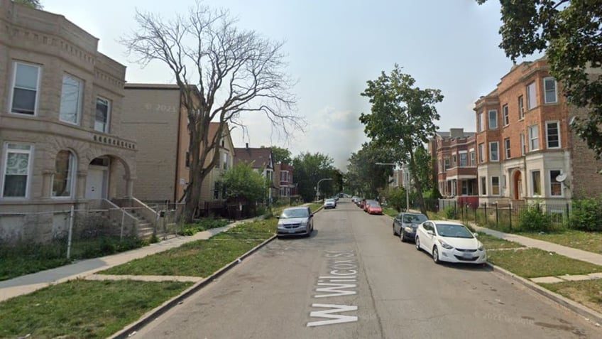 chicago police officers hospitalized after suspect unleashes violent dogs on them