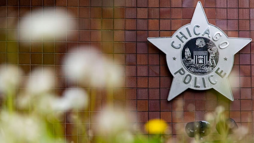 chicago police officers hospitalized after suspect unleashes violent dogs on them