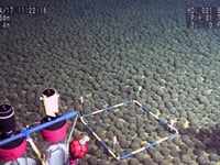 China carefully assembling a deep-sea mining strategy