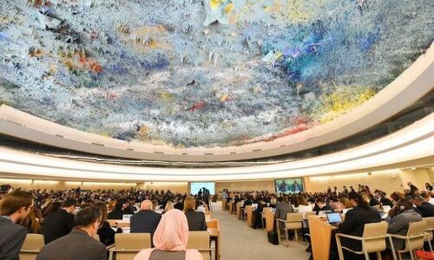 china deploys growing army of pro beijing ngos to un to target critics report