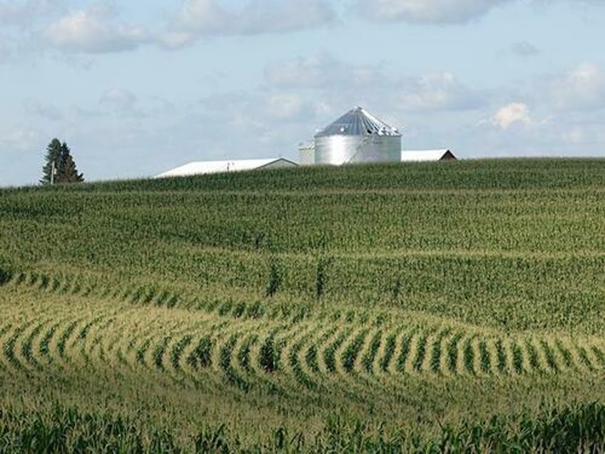 china ditches us farmers for brazilian ones in protest of land ownership rules 