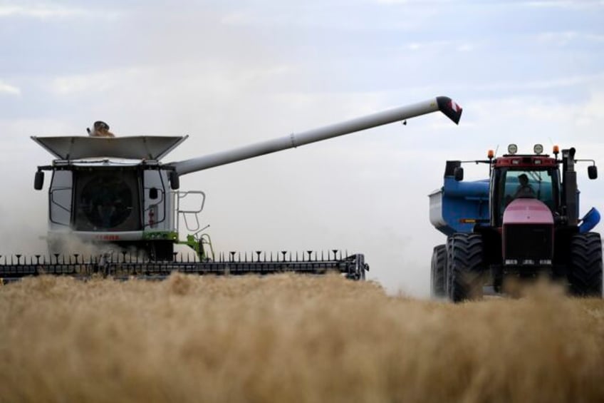 china reopens trade in australian barley in a new sign of improved relations