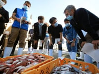 China to ‘gradually resume’ seafood imports from Japan after Fukushima ban