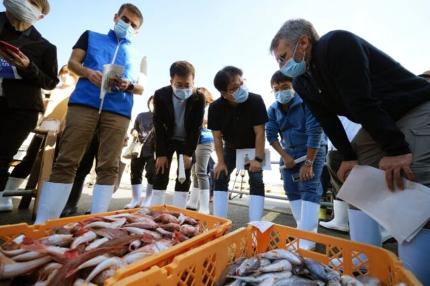 A team of experts from the International Atomic Energy Agency with scientists from China,