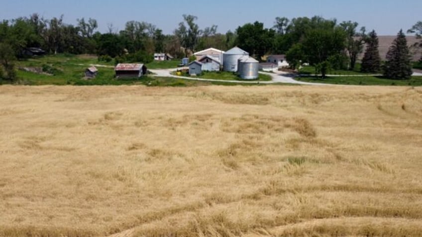 China is set to impose fresh tariffs of 15 percent on US wheat and several other farm prod