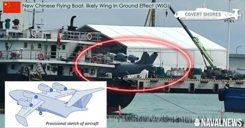 chinas mysterious bohai sea monster spotted for first time