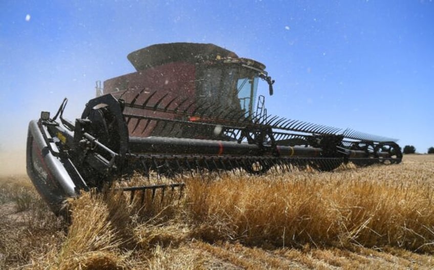 The resumption of trade is a welcome relief for Australian farmers as China bought half of the country's barley exports