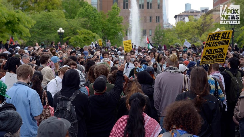 Anti-Israel protesters gather in Washington Square Park in New York City