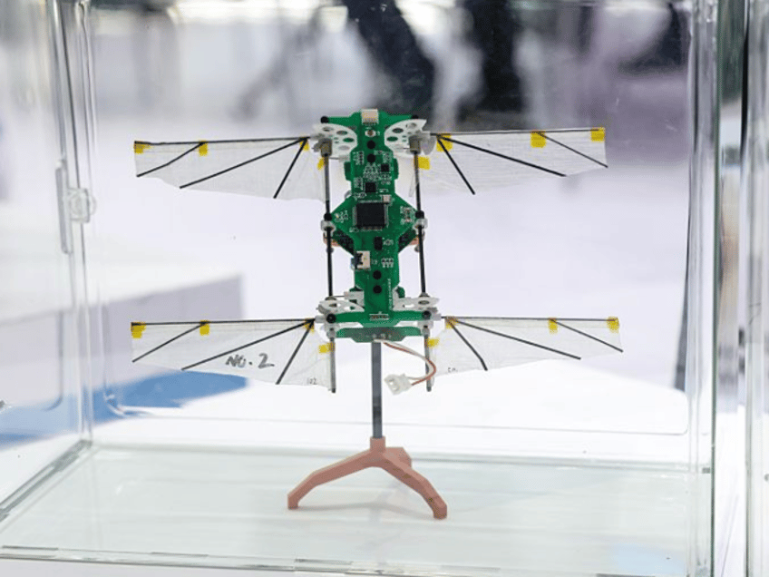 A micro bionic insect aircraft is pictured at a drone expo in Shenzhen, south China's Guan
