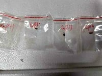 Chinese Nationals Caught Smuggling 