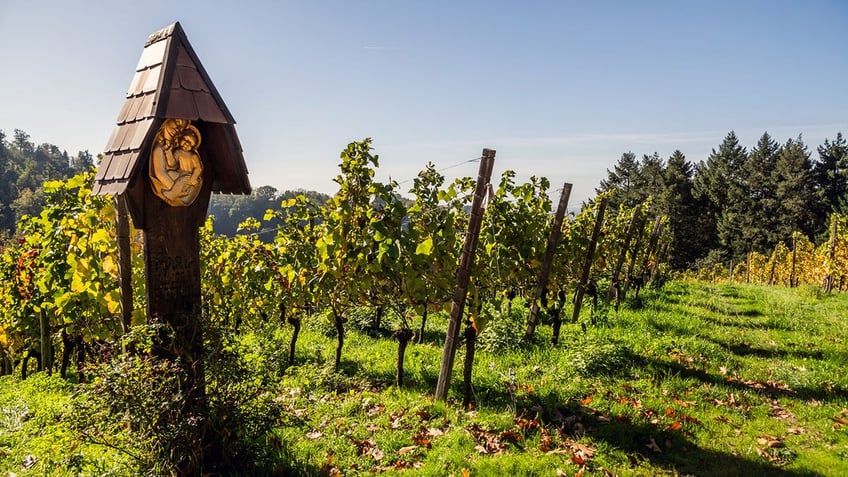 Autumn Grapevines with a Carved Christian Wood Sign