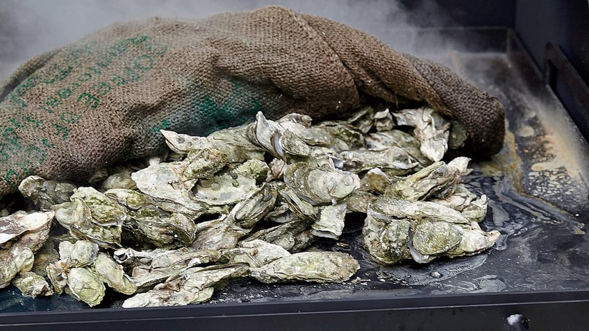 Roasted oysters on a grill.