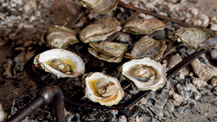 roasted oysters on a grill.