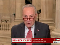 Chuck Schumer calls Republicans 'b-----ds' in scathing MSNBC interview