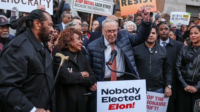 Democrats at anti-Elon Musk rally