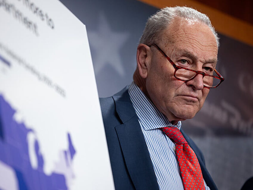 Senate Minority Leader Chuck Schumer (D-NY) is seen during a press conference with other S