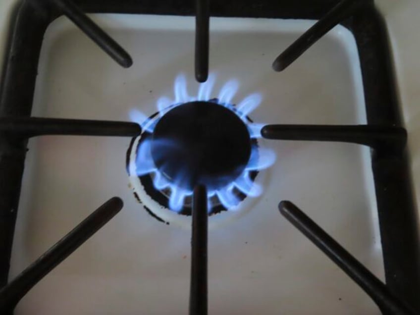 clean energy push in new jersey elsewhere met with warnings the government is coming for your stove